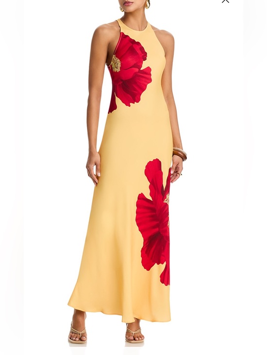 FARM Rio Dresses & Skirts - FARM Rio Poppy Flowers Maxi Dress